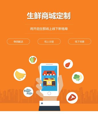 生鲜批发商城开发水果商城系统定制积分拼团系统公众号制作-旺铺猫