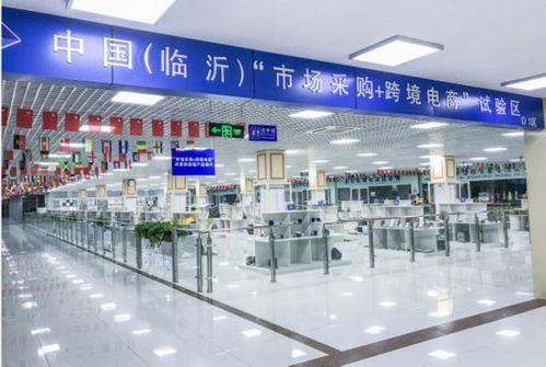 山东省临沂市 加快建设 四个商城 推动商贸物流高质量发展