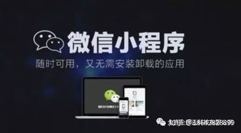 如何定制开发个性化的微信小程序商城
