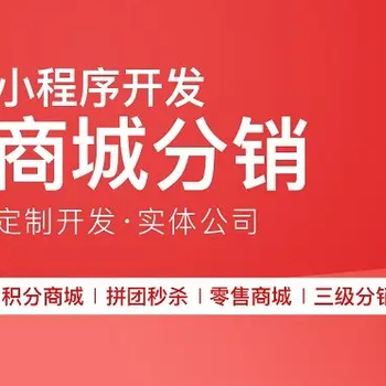 潍坊地区综合类电商购物商城开发定制