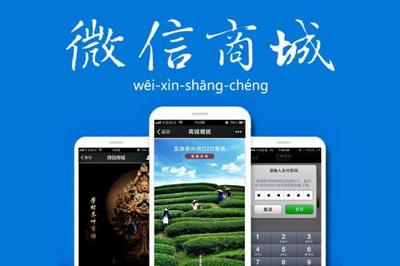 购物商城返积分系统营销模式的定制开发