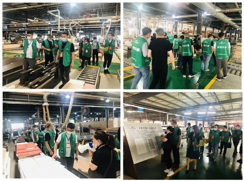 年中盛典，智造未来 619超级工厂购暨财富品鉴会圆满落幕，揭秘购物商城定制新篇章